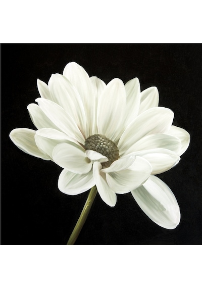 Siyah Zemin Orkide Gerbera Ve Çiçekler Doğal Taş Bardak Altlığı 4'lü Set - Natural Stone Coasters - Taş Siyah