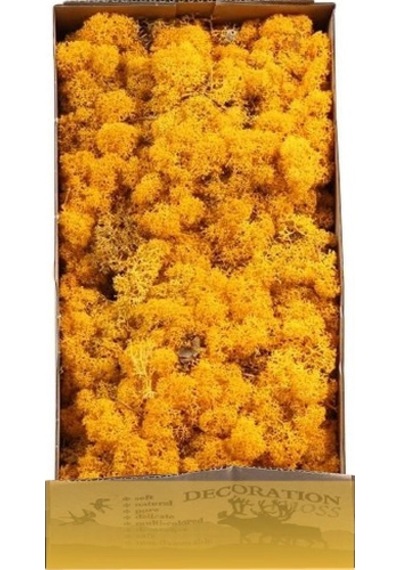 Reindeer Moss Hardal Şoklanmış Norveç Yosunu 30gr