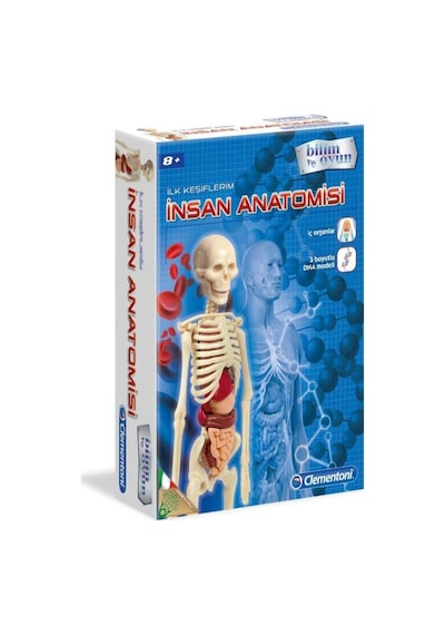İlk Keşiflerim İnsan Anatomis 64297