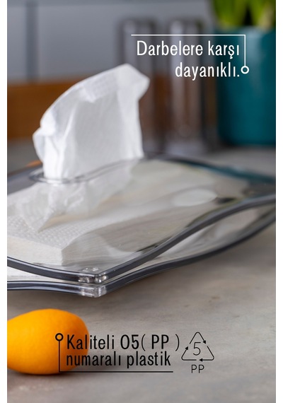 Dekoratif Şeffaf Peçete Organizeri Gri - Şeffaf