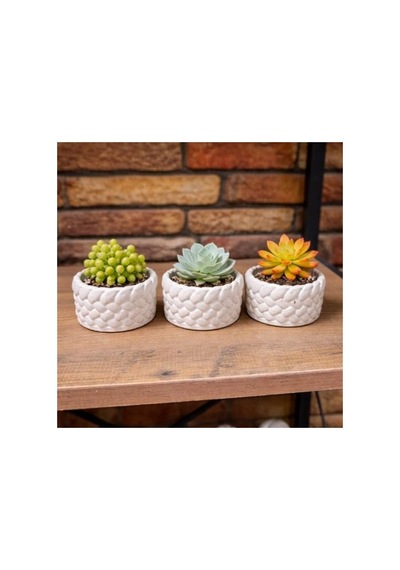 El Yapımı Mini Saksı Seti, 5 Cm, Modern Beton Tasarım