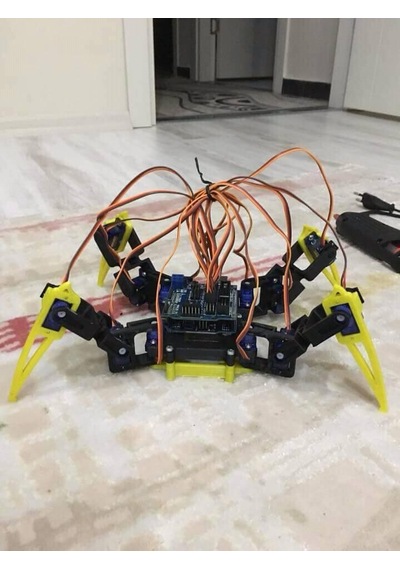 Örümcek Robot Çift Renk Tarantula