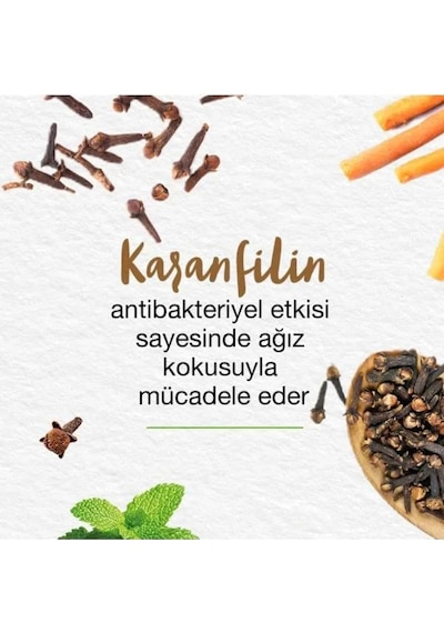 Himalaya Mint Fresh Ferahlatıcı Diş Macunu 3 x 75 ML