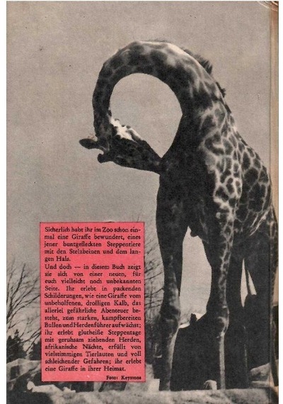 Twiga Die Giraffe - Hugo Kocher