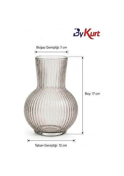 Dekoratif Cam Vazo Ve Doğal Şoklanmış Okaliptus Demeti Seti Şeffaf