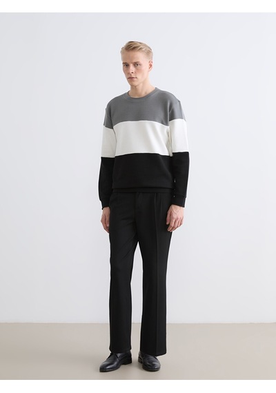 Lcw Vision Antrasit Bisiklet Yaka Renk Bloklu Erkek Sweatshirt