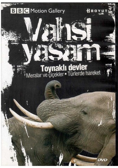 Bbc Motion Gallery - Vahşi Yaşam Toynaklı Devler Meralar Ve Çiçekler Türlerde Hareket - Dvd