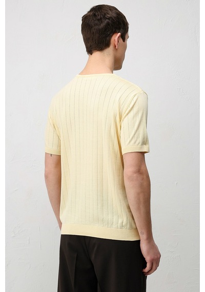 Antioch Dokulu Erkek Triko T-shirt Sarı