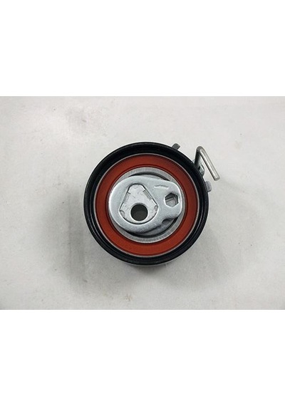 ABA 25205572 TRİGER EKSANTRİK GERGİ RULMANI CLIO II III TWINGO 1.