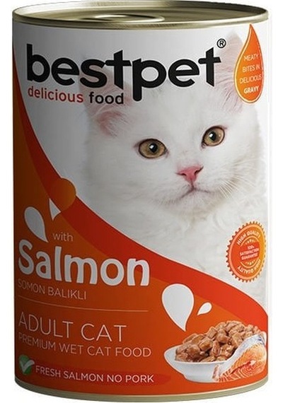 Bestpet Somonlu Jöleli Yetişkin Konserve Kedi Maması 400 G