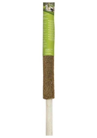 COCONUT BİTKİ ÇUBUĞU- 60CM