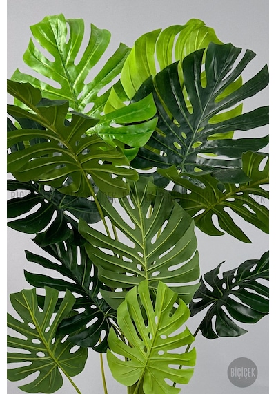 Biçiçek Yapay Monstera Ağacı Deve Tabani 160 Cm Beyaz Luna Saksıda