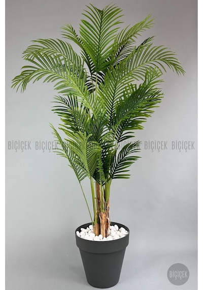Biçiçek Yapay Areka Ağaci 220 Cm 4 Gövdeli̇ Antresi̇t Yali Saksıda