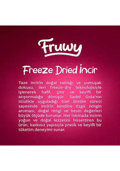 Freeze Dried İncir Diğer