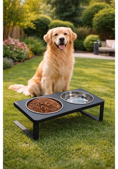 Ok-ay Store Radessa Xl Yüksek Standlı Çift Hazneli Mama Ve Su Kabı, Büyük Ve Orta Boy Köpek Ve Kedi Su Kabı Paslanmaz Çelik Siyah