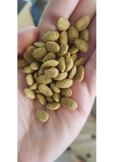 Versele Laga Nutribird P15 Original Pelet Papağan Yemi 1 KG Açık