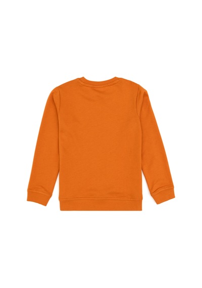U.S. Polo Assn. Erkek Çocuk Bakır Bisiklet Yaka Basic Sweatshirt 50313979-VR182