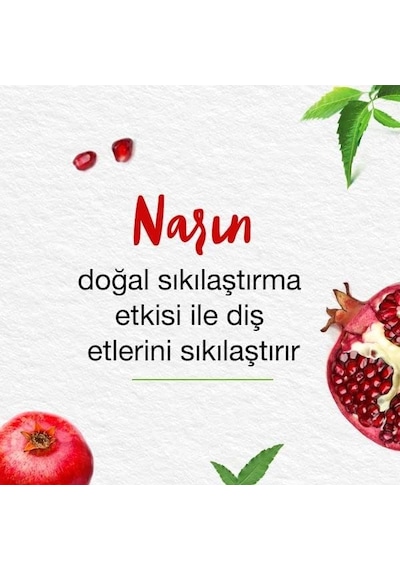 Himalaya Since 1930 Komple Bakım Bitkisel Diş Macunu, Florürlü, Parabensiz, Vejeteryan, Güçlü Dişler, 75 Ml