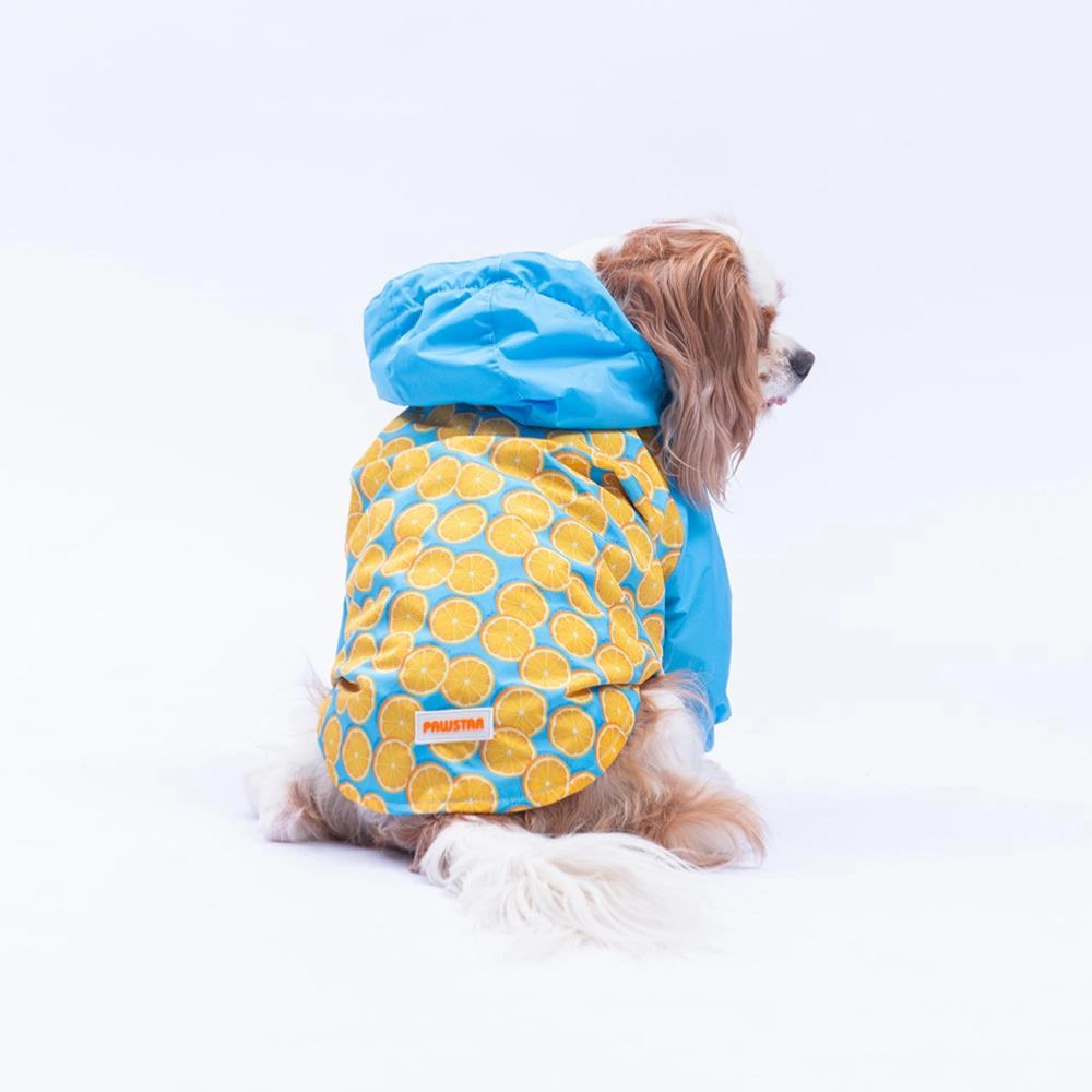 Nice Citrus Narenciye Desenli Köpek Mont Köpek Yağmurluk Köpek Kıyafeti Köpek Elbisesi