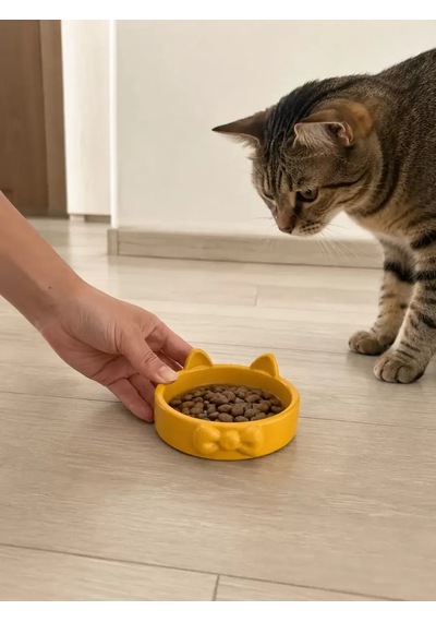 Hubrendy Sh Papyon Model Beton Kedi Köpek Mama Ve Su Kabı 16 Cm Çap - Bronz