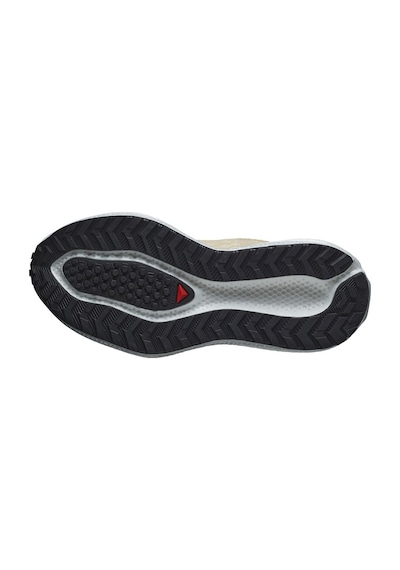Salomon Aero Glide 3 Grvl L47812500 Patika Koşu Ayakkabısı Unisex Spor Ayakkabı Pudra