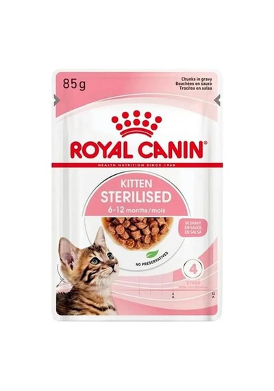 Ayrex Royal Canin Adult Chihuahua Yetişkin Köpek Pouch Konserve 12 X 85 Gr