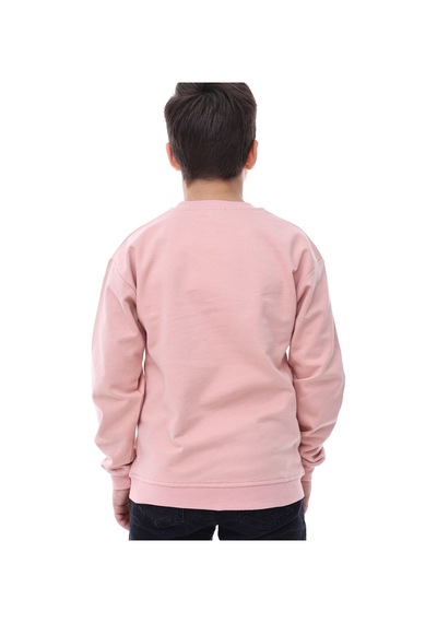 Zuzunga Basic Bisiklet Yaka Şardonlu Çocuk Sweatshirt 3-10 Yaş Pudra