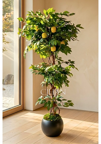 Yapay Limon Ağacı 180 Cm - 6 Limonlu Siyah Küre Saksılı 27x33 Cm Beyaz