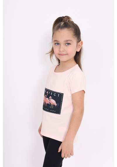 Toontoy Kids Toontoy Kız Çocuk Flamingo Baskılı Tişört Pudra
