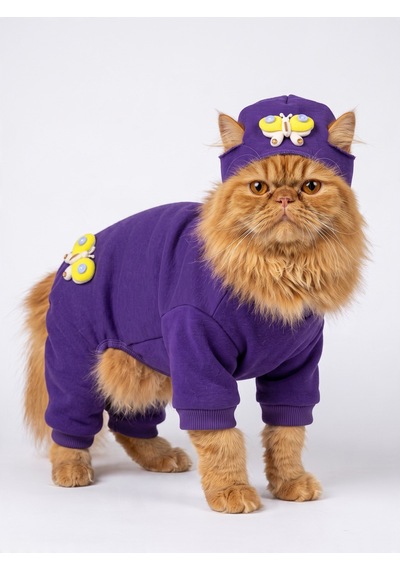 Violet Wings Kedi Bere Ve Tulum Kombini Mor Renk 3d Kelebek Aksesuarlı Penye Kedi Kıyafeti 2 Parça