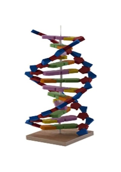 Tr Deney Setı Dna