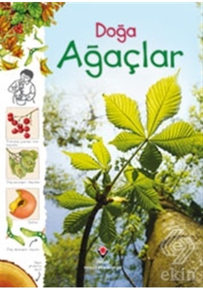 Doğa-Ağaçlar - Laura Howell - Tübitak Yayınları