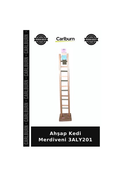 Özel Üretim Evcil Hayvan Tırmanma Aksesuar Oyun Ev Ahşap Kedi Merdiveni 3aly201