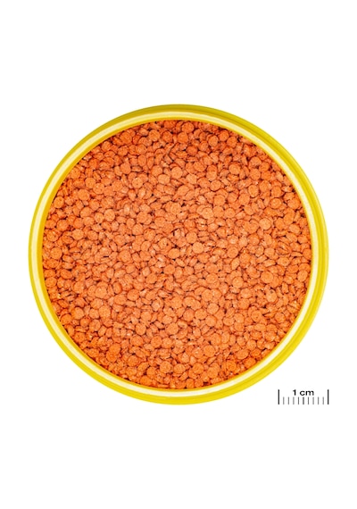Jbl Pronovo Bıts Grano M 250ml