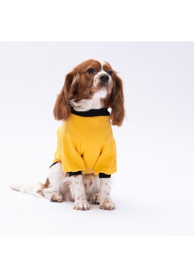 Yellow Loviisa Polarlı Küçük Irk Köpek Sweatshirtü L Sarı