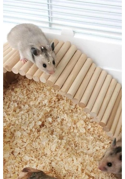 Hamster Uzun Ahşap Köprü, Cüce Hamster Bükülebilir Merdiven,
