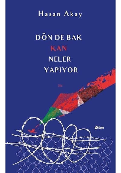 Dön de Bak Kan Neler Yapıyor - Hasan Akay - Şule Yayınları