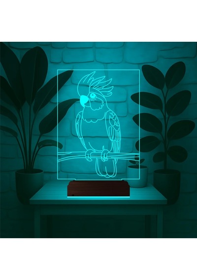 Luvivia Kakadu Papağan Pet Shop 3d Lamba - Masa Gece Lambası Şeffaf