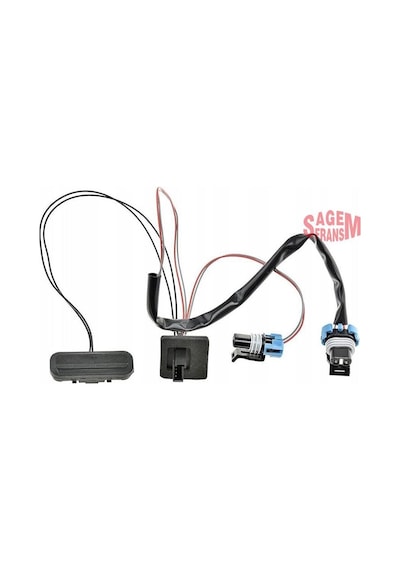 Sagem 171250 - Bagaj Açma Düğmesi Swici Opel Merıva B 10 17