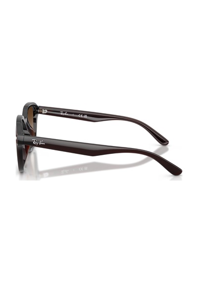 Ray-Ban Rb 0rb4458d 714/13 65 18 140 Gu036897 Erkek Güneş Gözlüğü Kahverengi