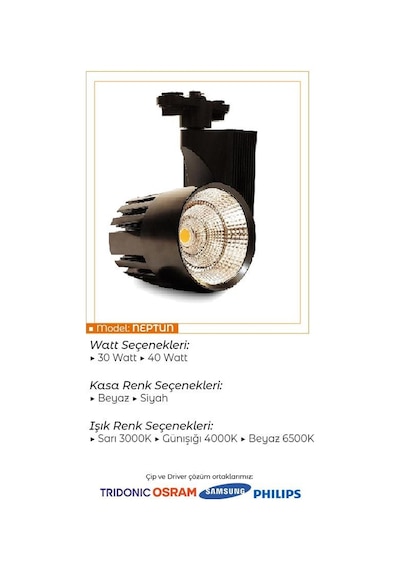 Ledli Ray Spot Siyah Kasa 40 Watt Beyaz 6500 K