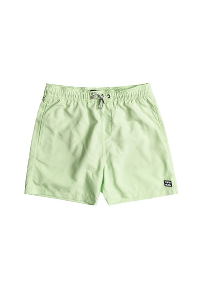 Bıllabong Billabong Erkek Şort All Day Lb Fıstık Yeşili 7315 Çok Renkli