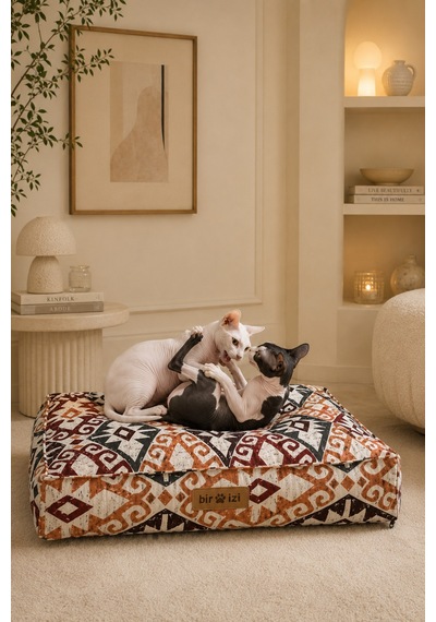 Kedi Ve Köpek Yer Minderi Ve Matı Üst Kalite Yıkanabilir Kılıflı Fermuarlı %100 Boncuk Elyaf Kaydırmaz Taban Kedi Ve Köpek Yatağı Turuncu Kırmızı 1609352144 Kedi Ve Köpek Yer Minderi Ve Matı Üst Kalite Yıkanabilir Kılıflı Fermuarlı %100 Boncuk Elyaf Kaydırmaz Taban Kedi Ve Köpek Yatağı Turuncu Kırmızı 1609352144