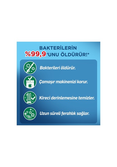 Lysol Çamaşır Makinesi Temizleyici Çam Ve Okaliptus Ferahlığı 250 Ml