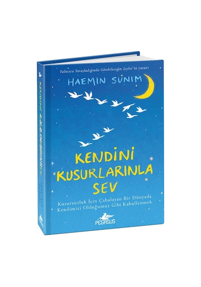 Kendini Kusurlarınla Sev (ciltli)