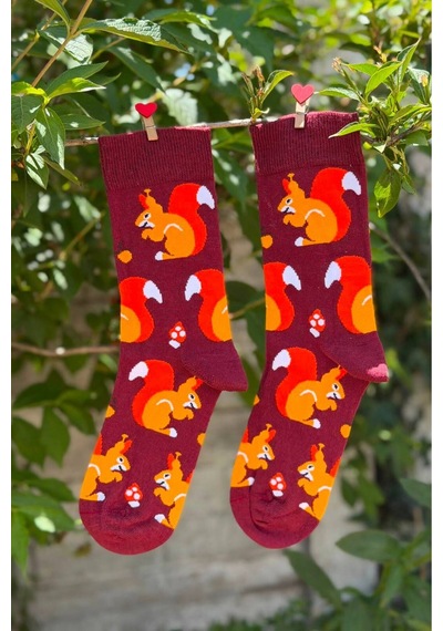 Lousocks Unisex Sincap Desenli Renkli Soket Çorap Bordo