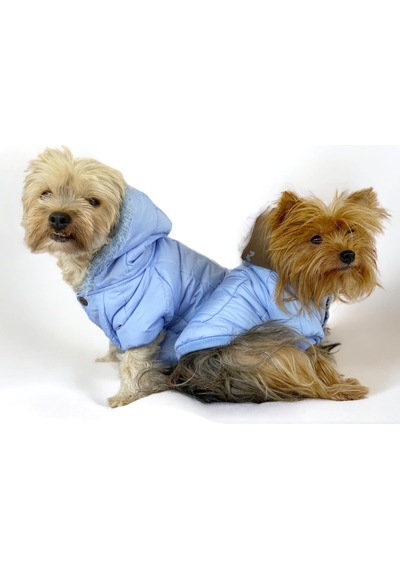Baby Blue Comfy Köpek Montu, Köpek Ceketi, Köpek Dış Giyim