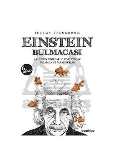 Einstein Bulmacası  - Jeremy Stangroom  - Domingo Yayınevi