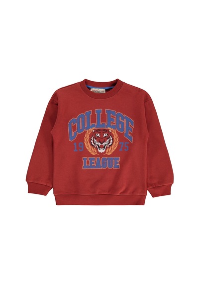 Silversun Kids Silversun 1975 Aslan Baskılı 2-7 Yaş Sweatshirt - Bordo