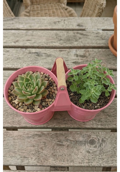 İkiz Saksılık Metal 10 Cm - Dekoratif Çiçeklik Kova Ve Çok Amaçlı Düzenleyici Pembe
